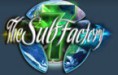 thesubfactory